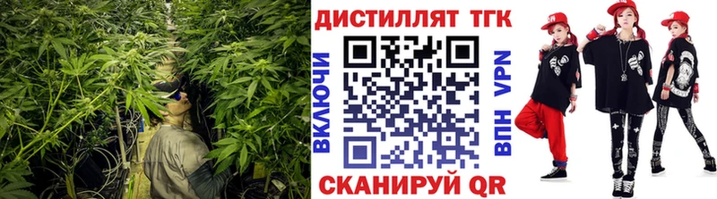 Купить  Бодайбо  ТГК концентрат 