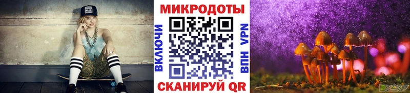 Псилоцибиновые грибы Psilocybine cubensis  Купить закладки  Бодайбо 